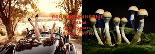 спиды Богданович